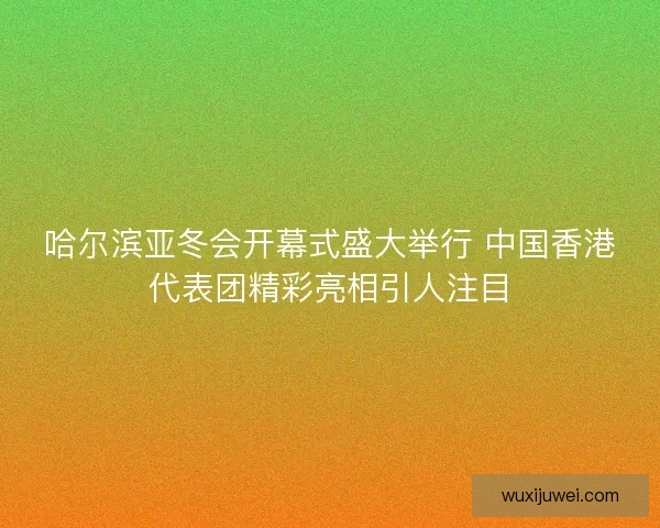 哈尔滨亚冬会开幕式盛大举行 中国香港代表团精彩亮相引人注目